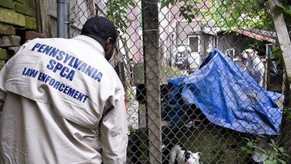 Veterinární policie Filadelfie XII (12)