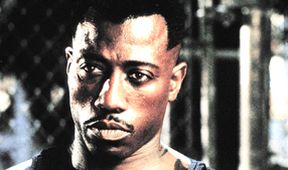 Blade