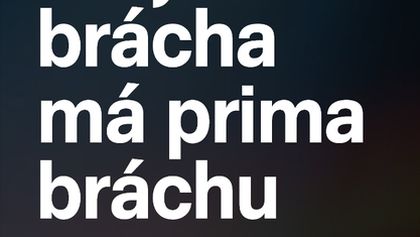 Můj brácha má prima bráchu