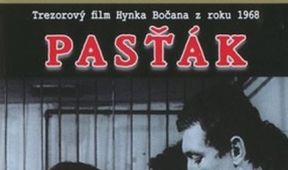 Pasťák