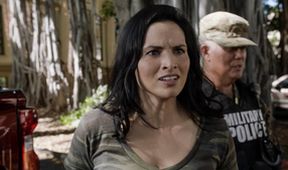 Hawaii 5-0 X (4)