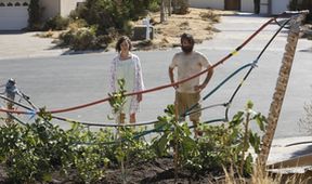 The Last Man on Earth IV (14)