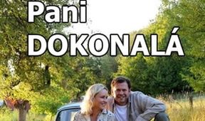 Pani Dokonalá