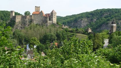 Divočina bez hranic