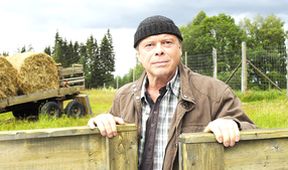 Inga Lindström: Léto u jezera Lilja