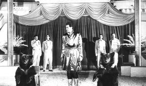 Cirkus bude