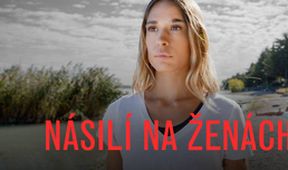 Násilí na ženách, Dokumentární klub