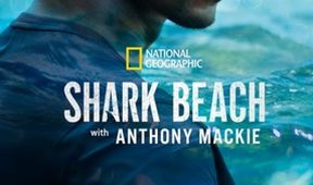 Anthony Mackie na pláži žraloků: Pobřeží Mexického zálivu