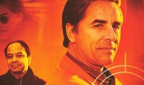 Detektiv Nash Bridges