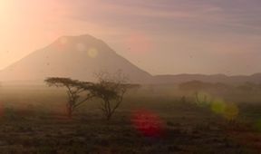 Velkolepá zvířata Afriky (3)