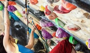 SP v boulderingu 2024, Sportovní lezení