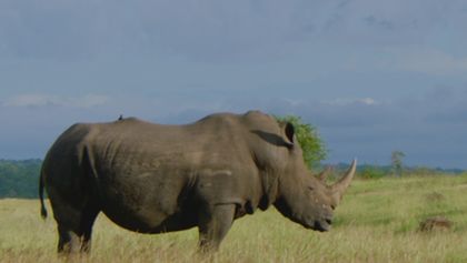Velkolepá Afrika (2)