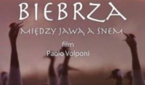 Biebrza: Evropská Amazonie