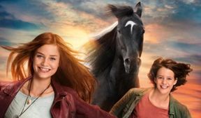 Rychlý jako vítr 5 - Velký Hurikán