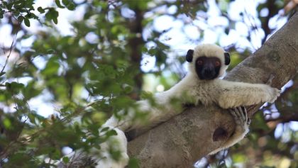 Krajinou Madagaskaru