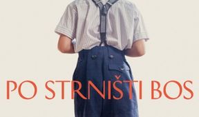 Po strništi bos, Konec 2. světové války