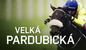 Velká pardubická 2024, Dostihy