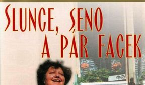 Slunce, seno a pár facek
