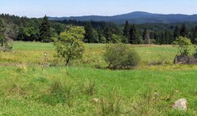Oblasti ptačí a lidské aneb Natura paradoxa