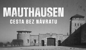 Mauthausen: Cesta bez návratu, Mezinárodní den památky obětí holocaustu