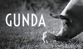Gunda, Kino Art