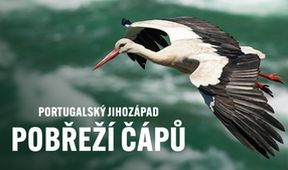 Portugalský jihozápad - pobřeží čápů
