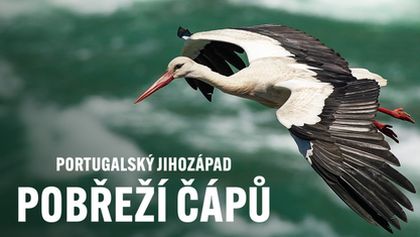 Portugalský jihozápad - pobřeží čápů