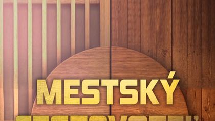 Mestský cestovateľ v čase (3)
