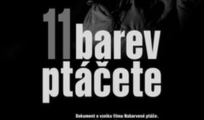 11 barev ptáčete