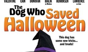 Pes, který zachránil Halloween