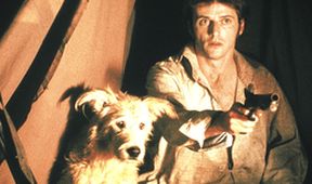 Crusoe