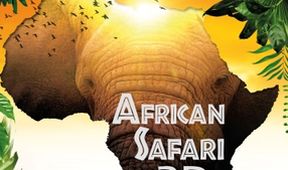 Africké Safari