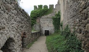 Divočina bez hranic (5)