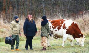 Slunečná (91)