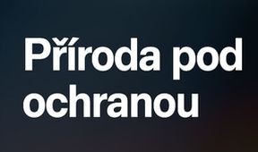 Příroda pod ochranou (4)