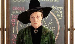 Harry Potter a Kámen mudrců