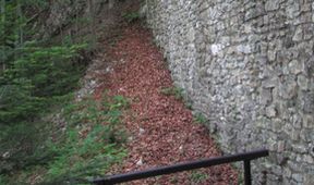 Divočina bez hranic