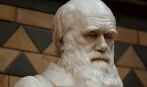 Darwinovo tajemství