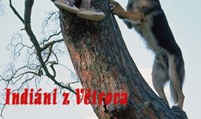Indiáni z Větrova