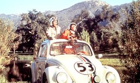 Herbie jede rallye