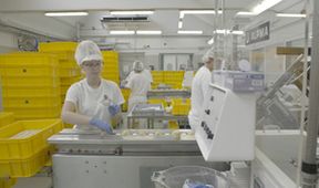 Industrie (9/12)