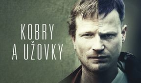 Kobry a užovky