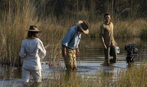 Okavango - řeka snů (1/4)