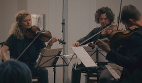 Pavel Haas Quartet