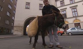 Pevnosti
