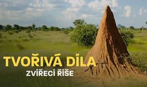 Tvořivá díla zvířecí říše (3/3)