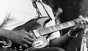 Muddy Waters: Live in Chicago
