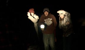 Wolf Creek