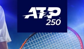 ATP250: Open Parc (2. čtvrtfinále)