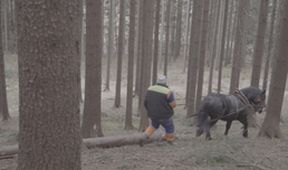 Ľudia na hranici (CZ)